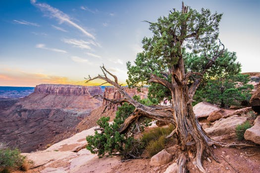 retiree hiking in the desert